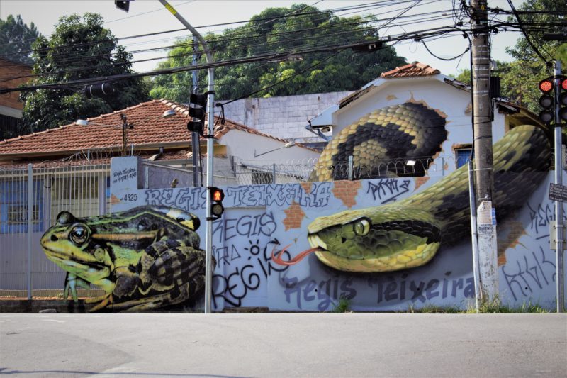 Read more about the article O Grafiteiro e o melhor Grafite