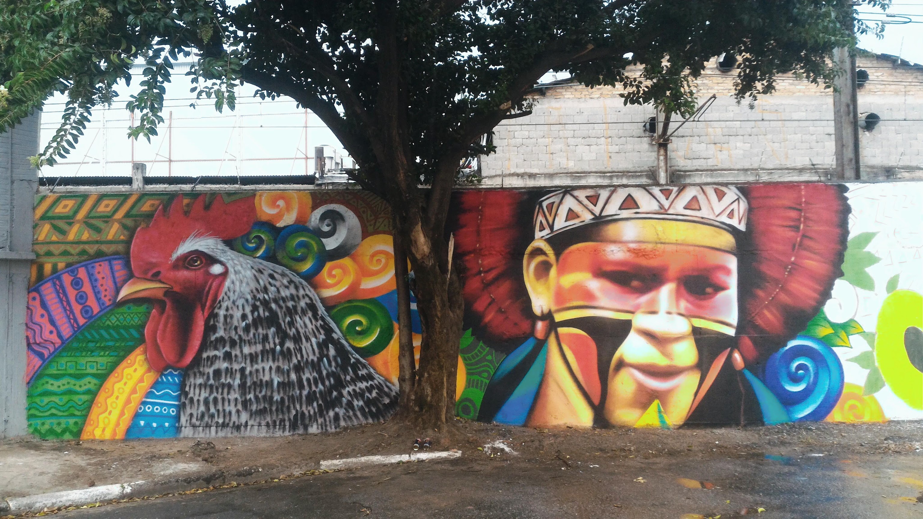 Read more about the article Grafite Índios Carijós